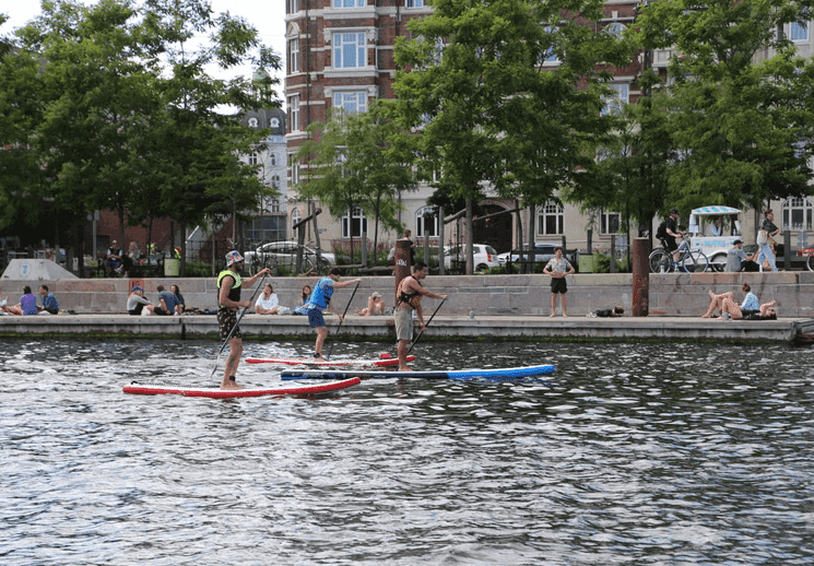 SUP - Kalvebod Bølge