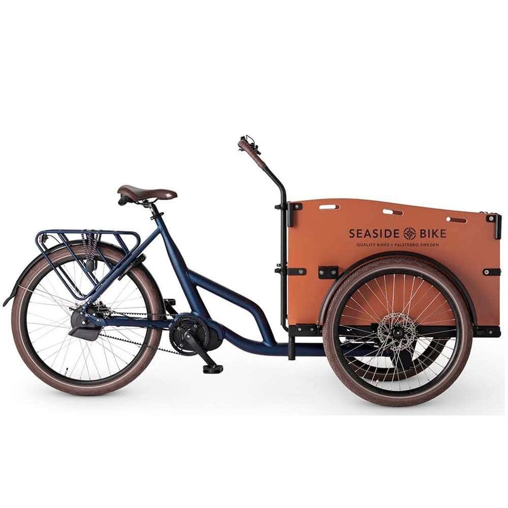 Electric Family bike - Seaside