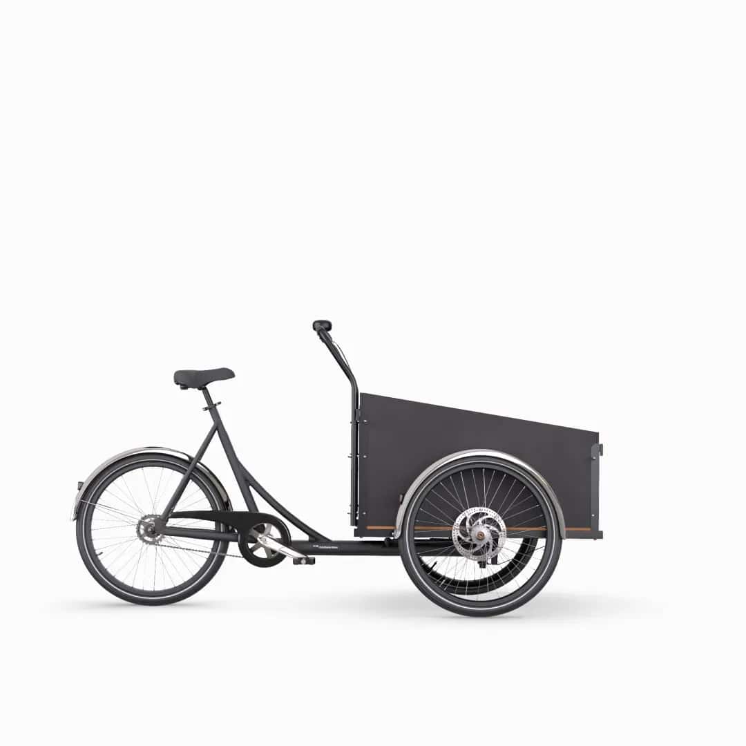 Family Bike Christiania Bike