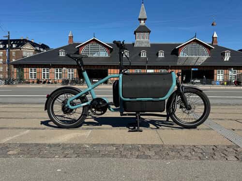 Electric Family Bike Riese Muller Carrie Vario