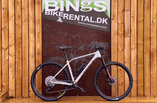 MTB Orbea / Giant 29"