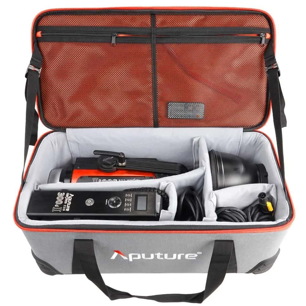 Aputure LS 300D II
