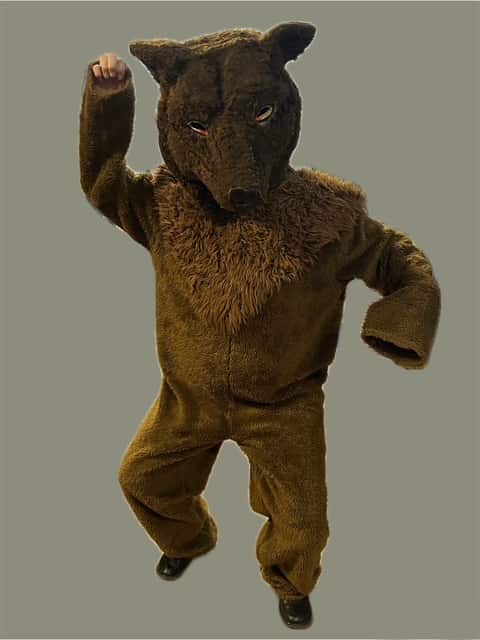 Bjørne kostume
