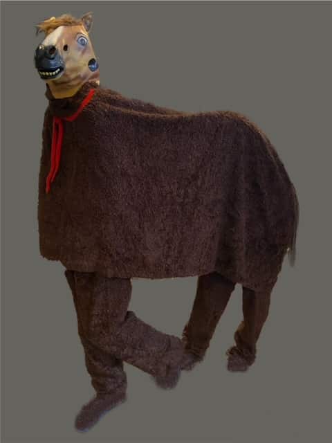 Hest