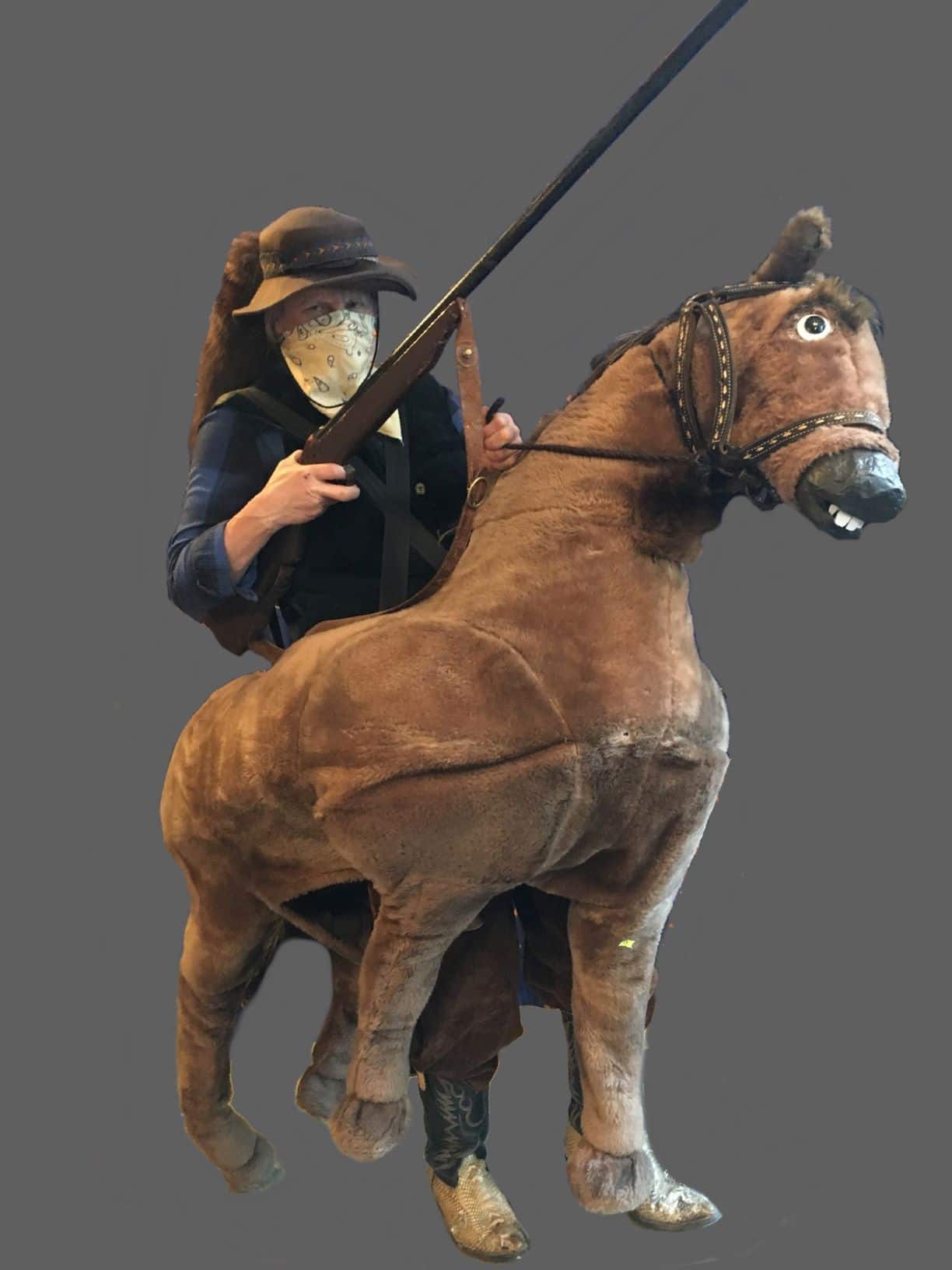 Brun hest