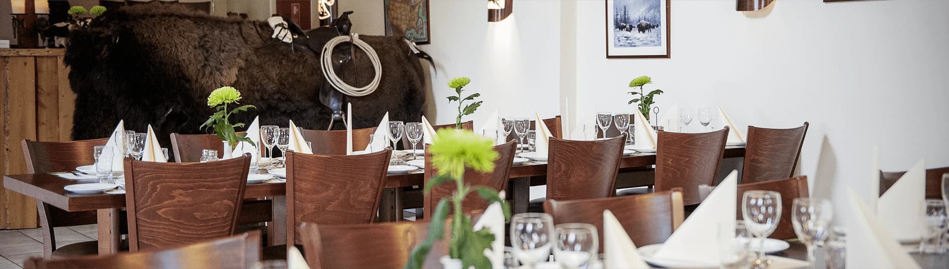 Ditlevsdal Bisonfarm