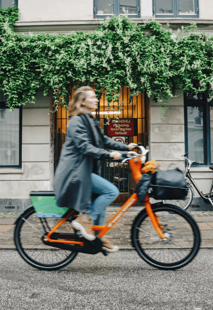 Electric Bike