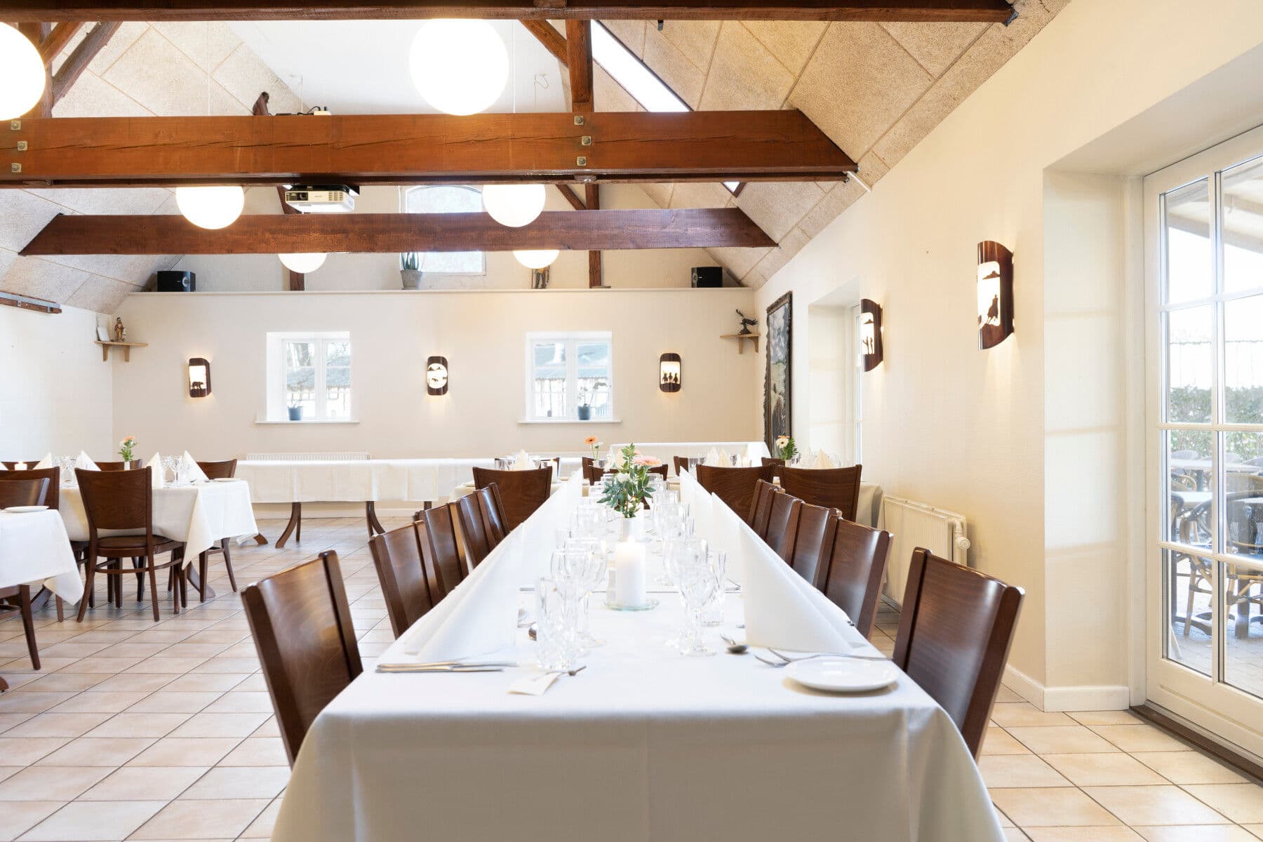 Ditlevsdal Bisonfarm