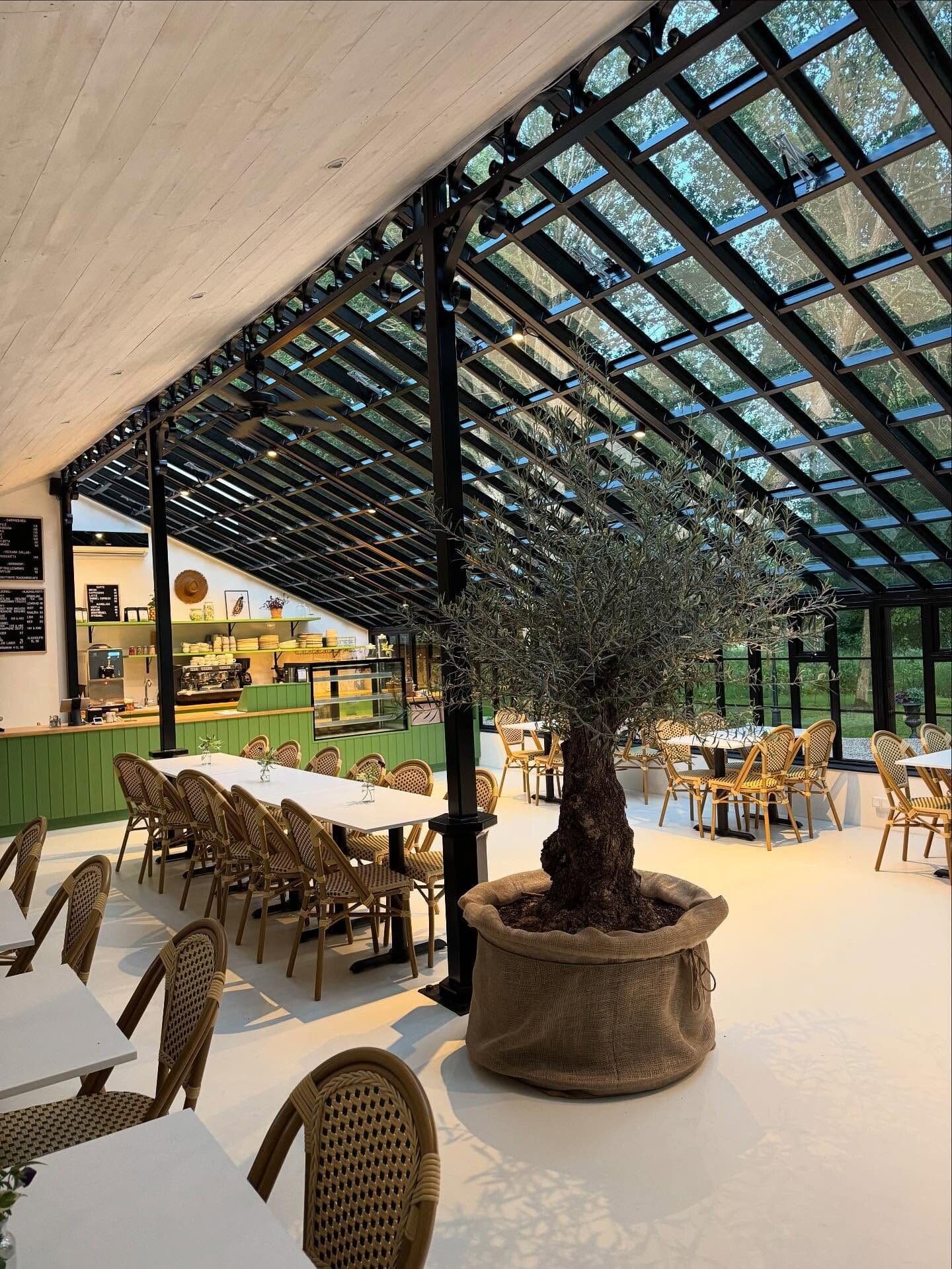 Skottorps Trädgårdscafé