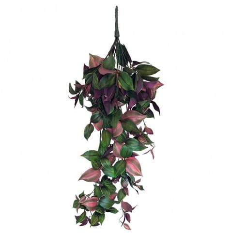 Hængende plante grøn & lilla, stor