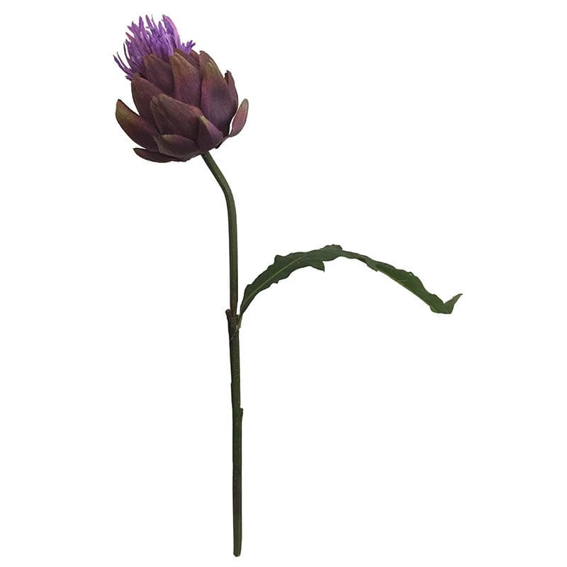 Artiskokblomst lilla