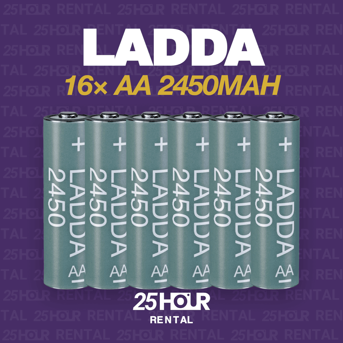 16 x rechargeable AA batteries + charging station