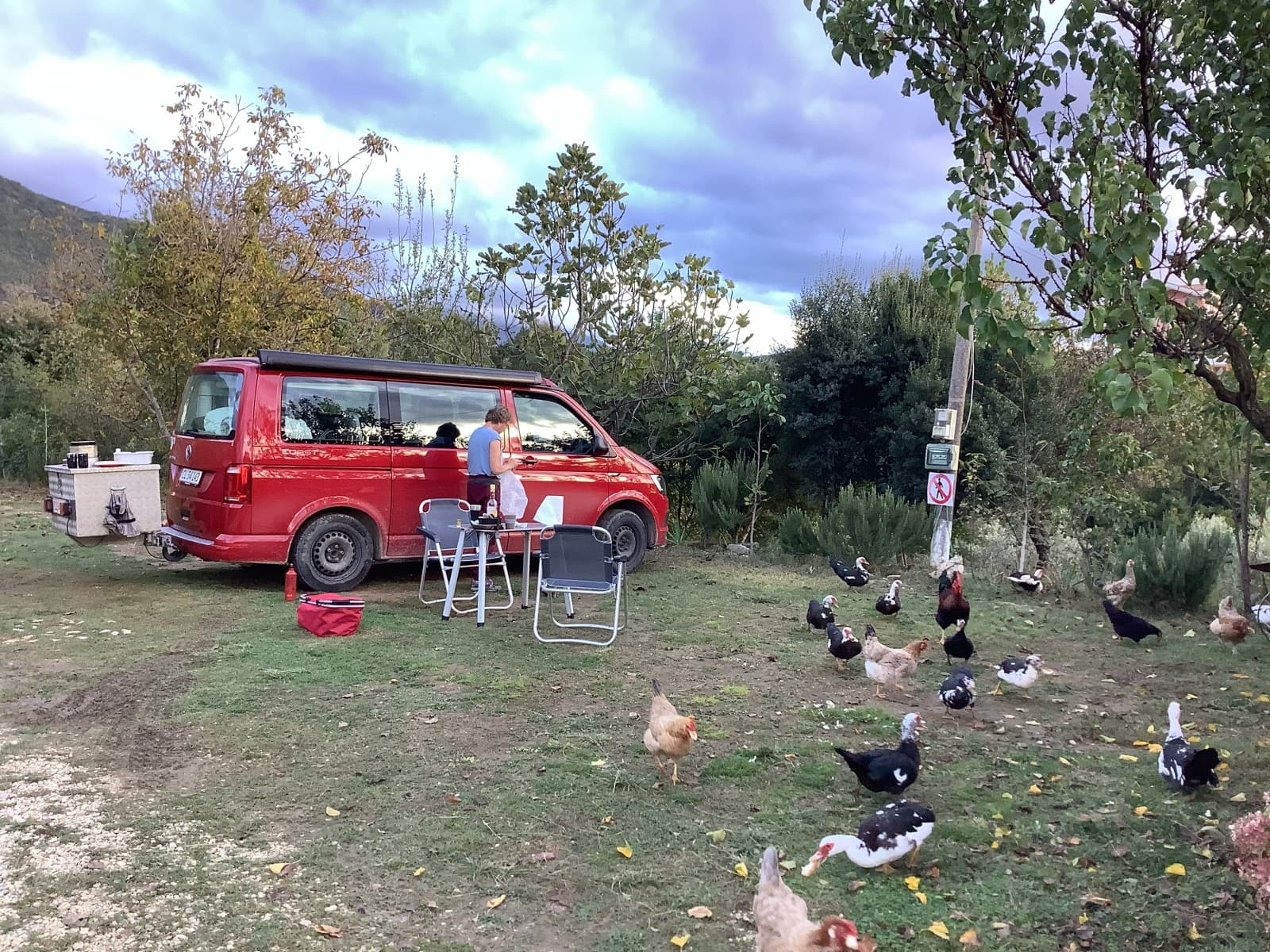 Hennings VW Campervan