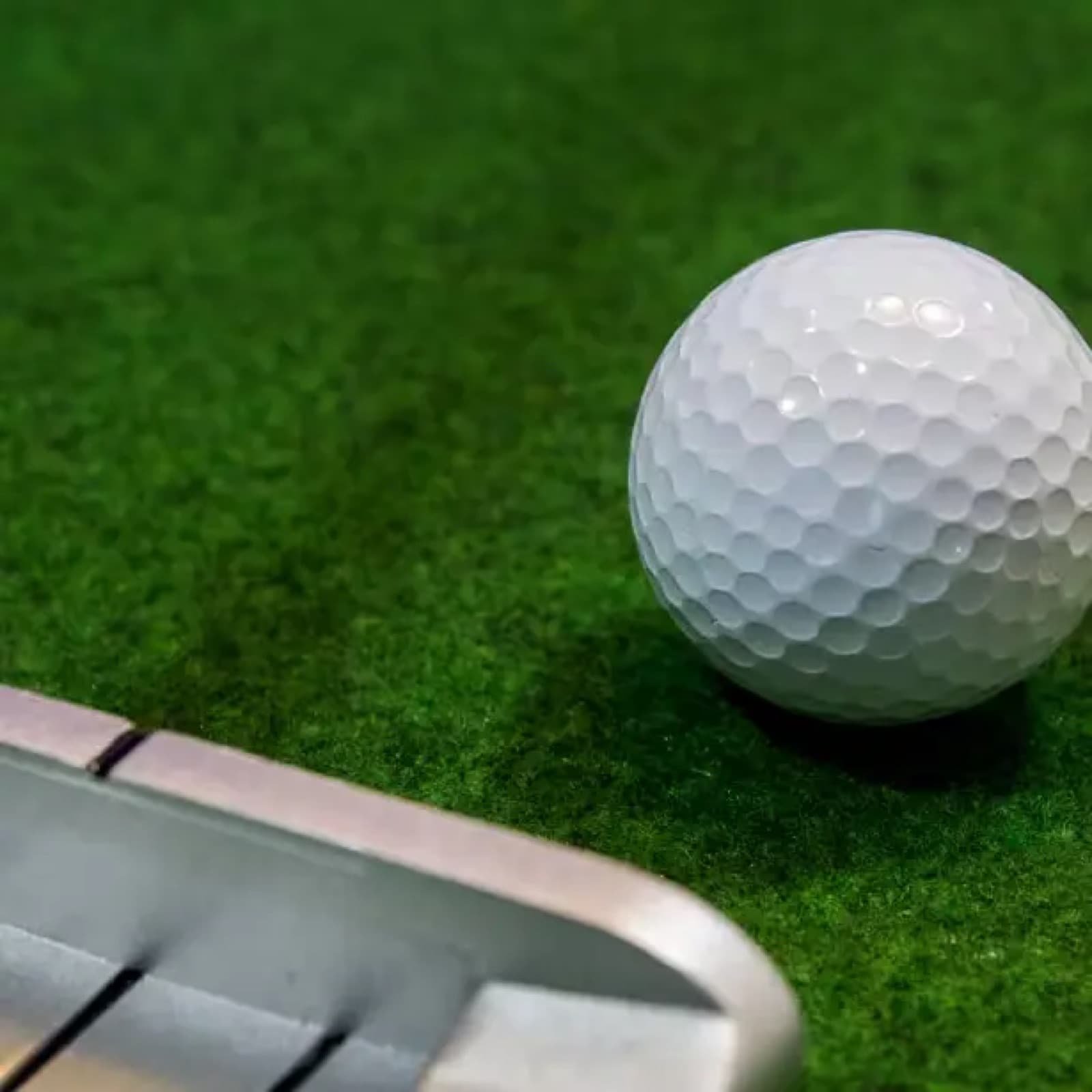 Next House Minigolf