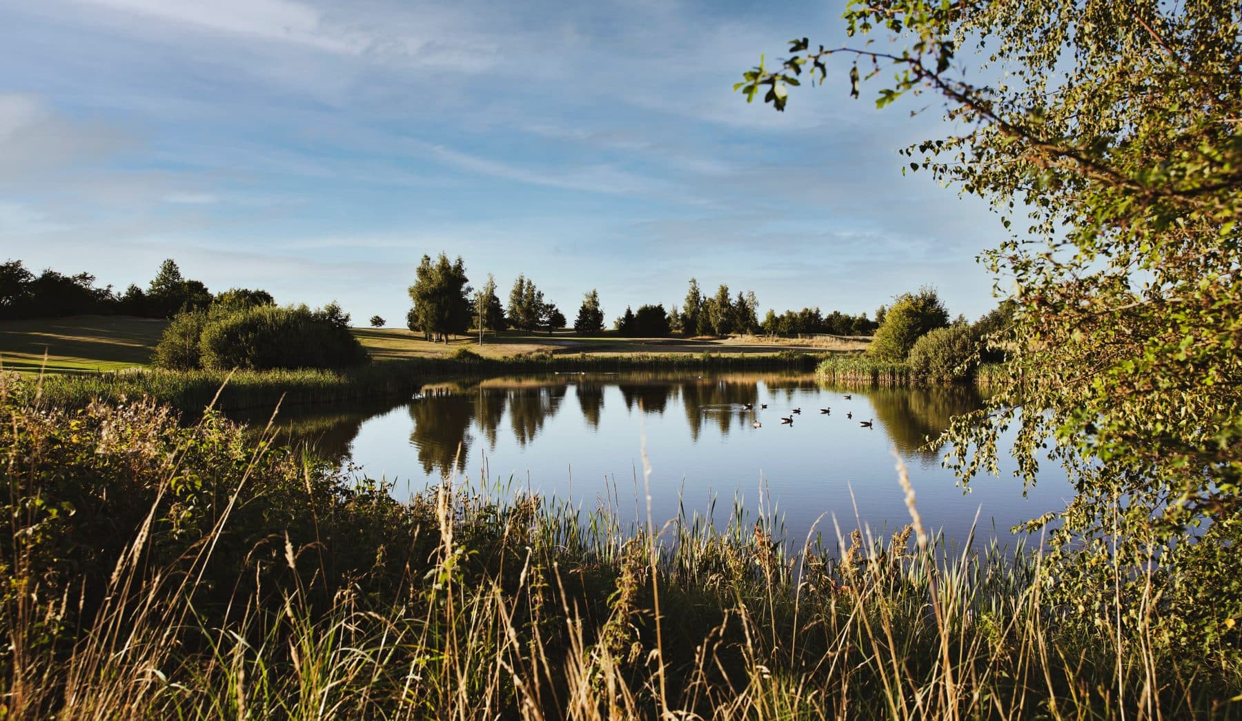Nivå Golf