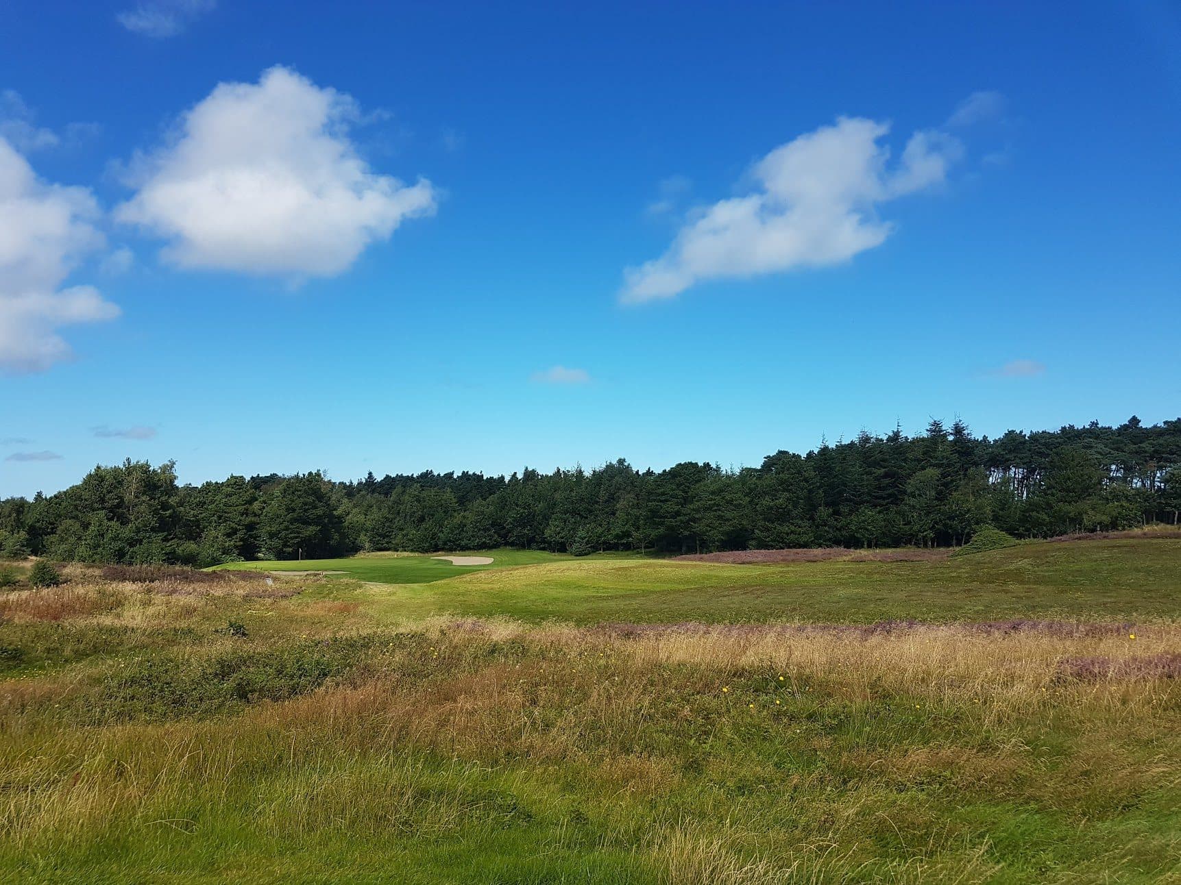 Jammerbugtens Golfklub