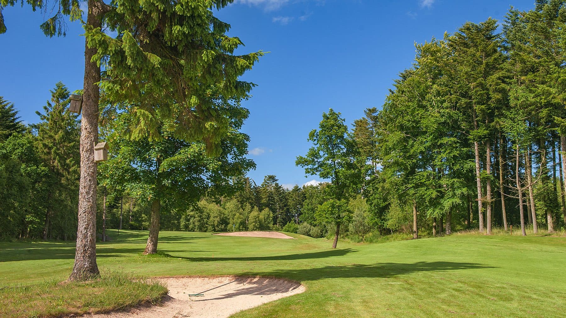 Dronninglund Golfbane