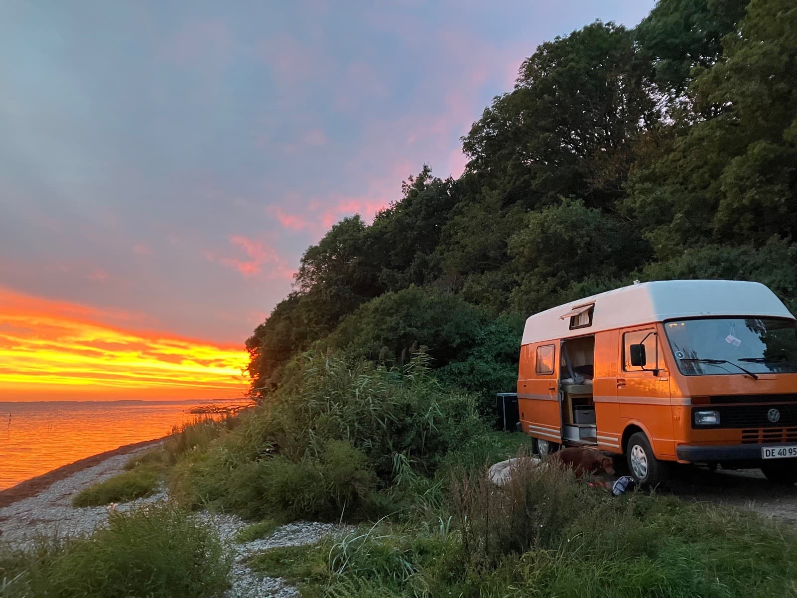 VW LT 31